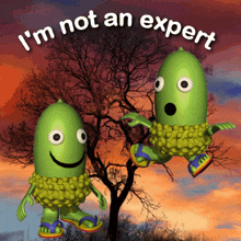 I'M Not An Expert I Don'T Know GIF