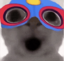 a close up of a cat wearing a mask and sunglasses .