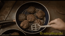 Radishthegreat Meatballs GIF - Radishthegreat Meatballs Frickadellen GIFs