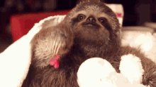 Sloth Flower GIF - Sloth Flower Cute GIFs