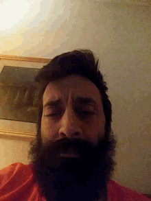 Eyebrows Beard GIF - Eyebrows Beard Selfie GIFs