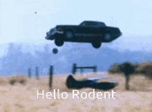 Hello Rodent GIF - Hello Rodent GIFs