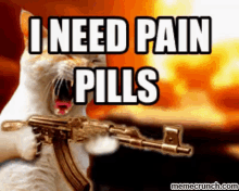 I Need Pain Pills - Pain GIF - Pain Kitty Cat GIFs