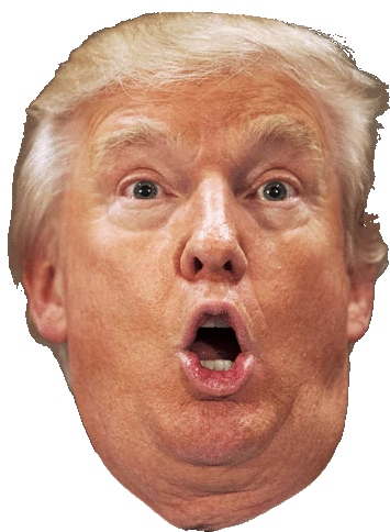 Pog Donald Trump Sticker - Pog Donald Trump Trump Stickers