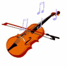 Violin GIF - Violin GIFs