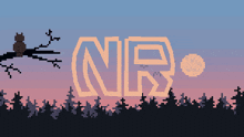 Norage-hypixel-guild-xayman-net-discord-banner GIF