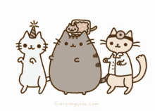 Dr Cat GIF - Cute Pusheen Dancing GIFs