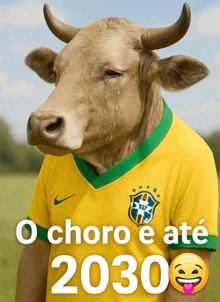 a picture of a cow wearing a soccer jersey that says ' o choro e ate 2030 '