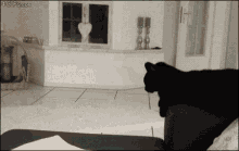 a black cat is sitting on a couch in a living room with a 4gifs.com watermark