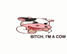 Bitch Cow GIF - Bitch Cow GIFs