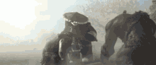 Chen Stormstout GIF