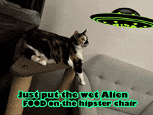 a cat sitting on a cat tree with the words just put the wet alien food on the hipster chair above it