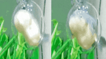 Fishspin GIF - Fishspin GIFs