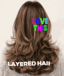 Layered Hair Long Layered Hair GIF - Layered Hair Long Layered Hair Indique Hair GIFs