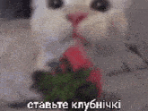 a cat is holding a strawberry in its mouth and says ' strawberry ' in a foreign language .