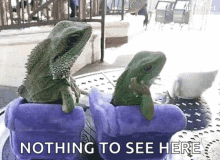 Nothing To See Here Chill GIF - Nothing To See Here Chill Relax GIFs
