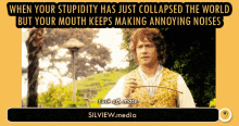 Silview Covidiots GIF - Silview Covidiots Annoying GIFs