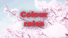 Colour Roles GIF - Colour Roles Discord GIFs