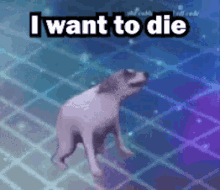 I Want To Die GIFs | Tenor