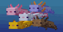Axolotl Copy GIF - Axolotl Copy For GIFs