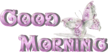 Good Morning Butterfly GIF - Good Morning Butterfly GIFs