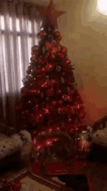 christmas tree red