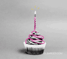 Birthday Happy Birthday GIF - Birthday Happy Birthday Cupcake GIFs
