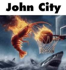 John City GIF