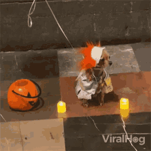 a dog dressed in a clown costume is sitting next to candles and a pumpkin bucket