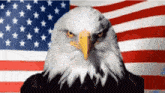 American Flag Usa GIF - American Flag Usa Eagle GIFs