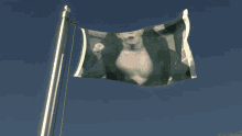 a flag with a picture of a man on it is waving in the wind