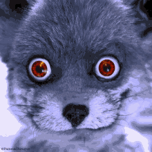 Chougne Fox GIF - Chougne Fox Renard GIFs