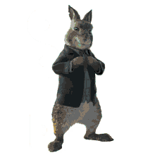 ootd barnabas peter rabbit2the runaway outfit of the day looking fancy