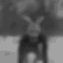 a blurry black and white photo of a rabbit with a skull on its head .