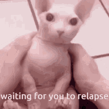 Waiting Waiting For You To Relapse GIF - Waiting Waiting For You To Relapse Relapse GIFs