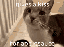 Sam And Michelle Applesauce GIF - Sam And Michelle Applesauce Kiwi GIFs