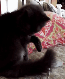 a black cat is playing with a pink pillow