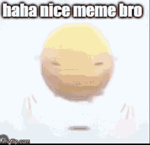 Nice Meme GIF - Nice Meme Bro GIFs