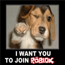 I Want You To Join Roblox Dog GIF - I Want You To Join Roblox Roblox Dog GIFs