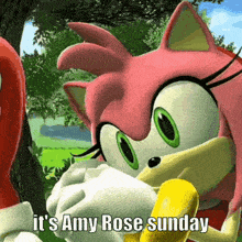 Sunday Amy GIF - Sunday Amy Amy Rose GIFs