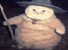 a cat is wearing a wizard costume and holding a staff .