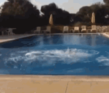 Pool Reverse GIF