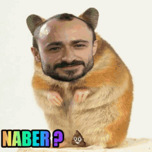 Naber GIF - Naber GIFs