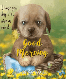 Good Morning Puppy GIF - Good Morning Puppy Cute GIFs
