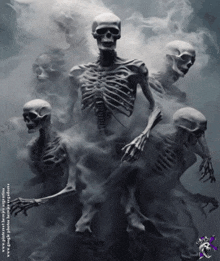 a group of skeletons are surrounded by smoke with the website www.pinterest.com visible in the corner