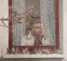 Cat Snow Christmas GIF - Cat Snow Christmas GIFs