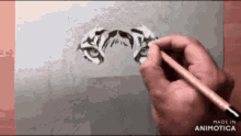 a person is drawing a tiger 's eyes on a piece of paper with a pencil