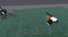 Touch Grass Roblox GIF