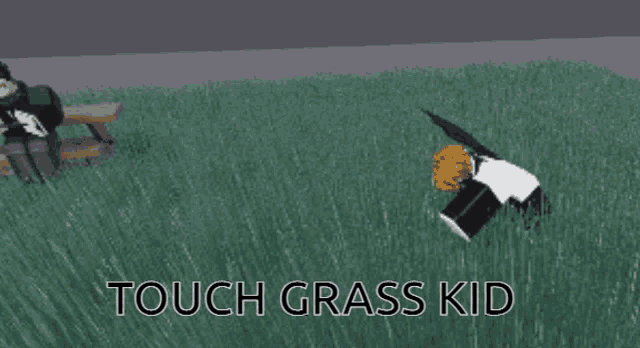 Touched grass for 1,000 seconds! - Roblox