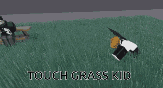 touch grass - Roblox